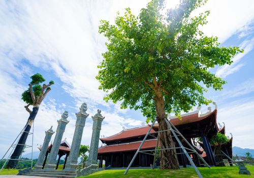 Báo Cafef: Dù ít được quan tâm nhưng phân khúc bất động sản này vẫn âm thầm tăng giá hàng chục lần