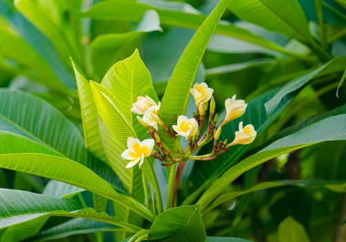 Báo Cafef: Thị trường 