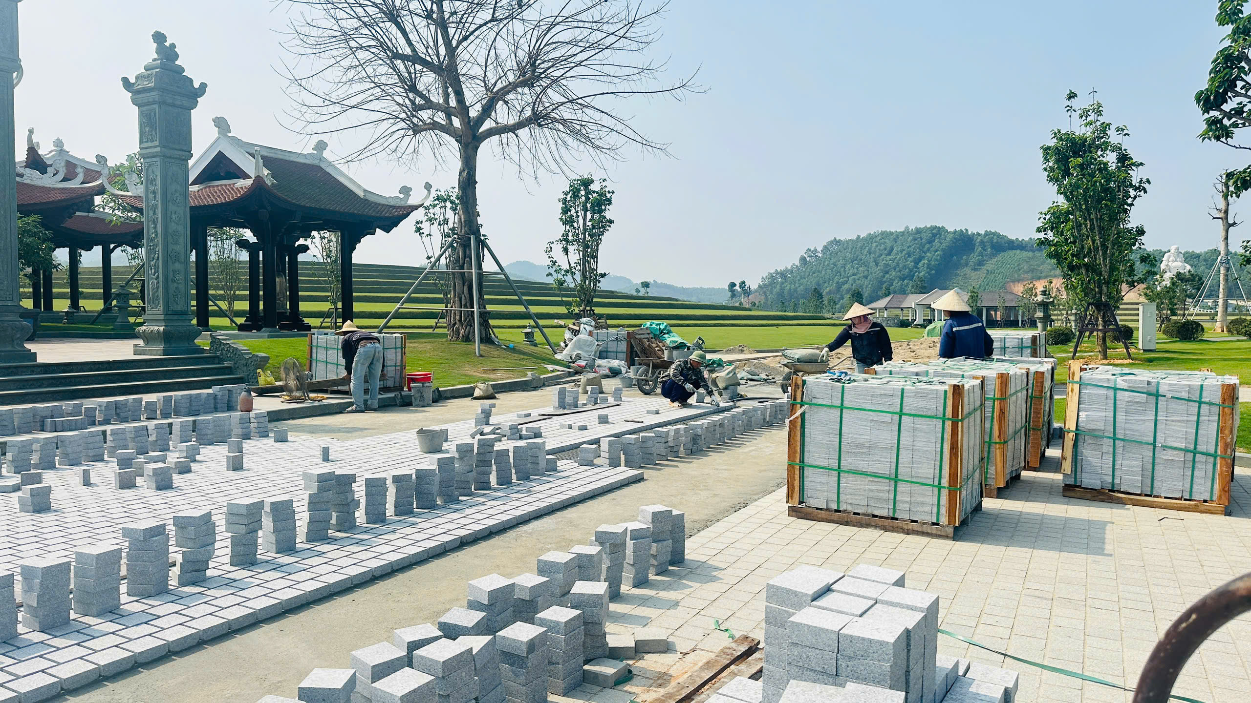 z6533779793059_d16a17e10dd84a45f53600653f7f0546