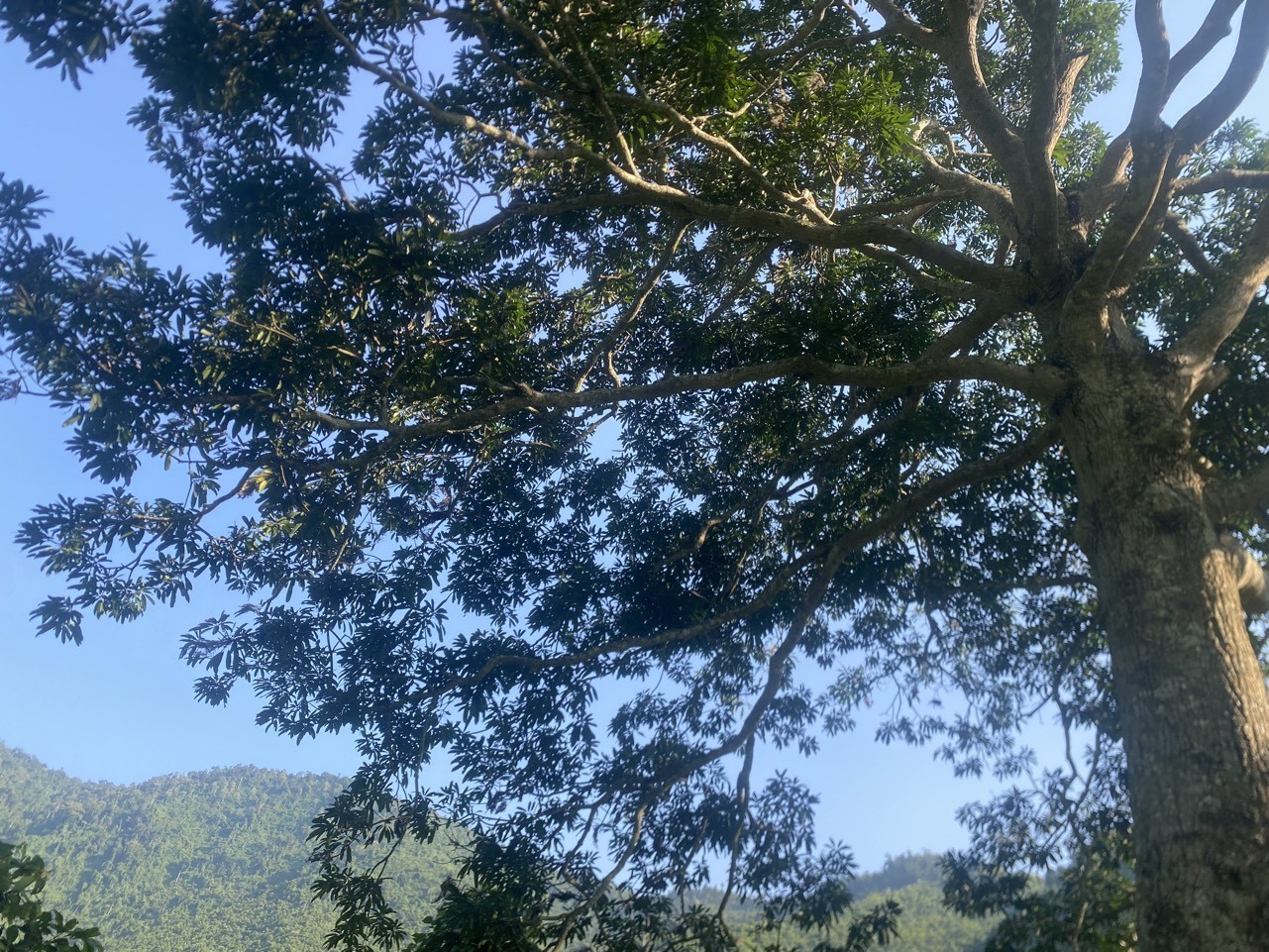 z5496504514216_f448313b97f52fe91bcb55f575a20a7e