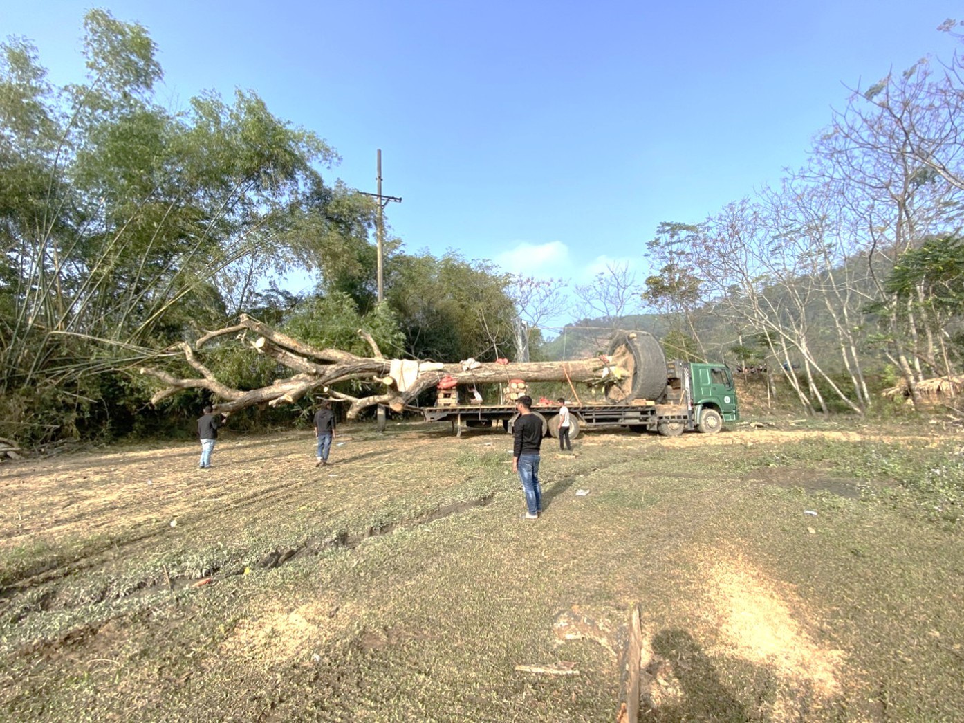 z5501918948674_0a0ed36877b2226394e0d3653030ff8a